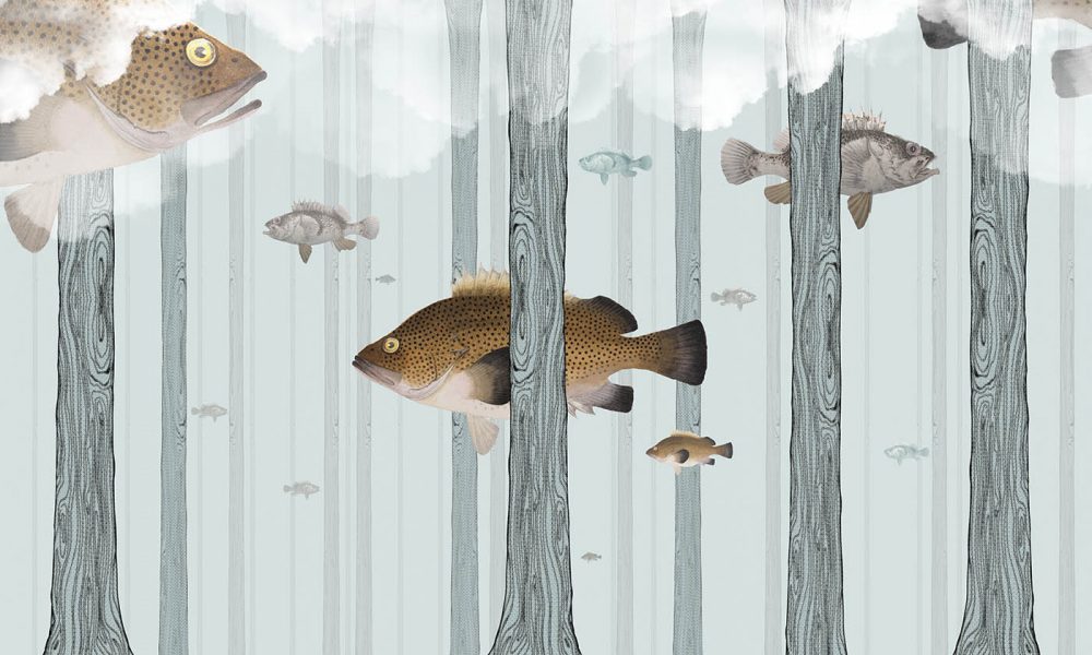 Fish Forest contemporary wallpapers