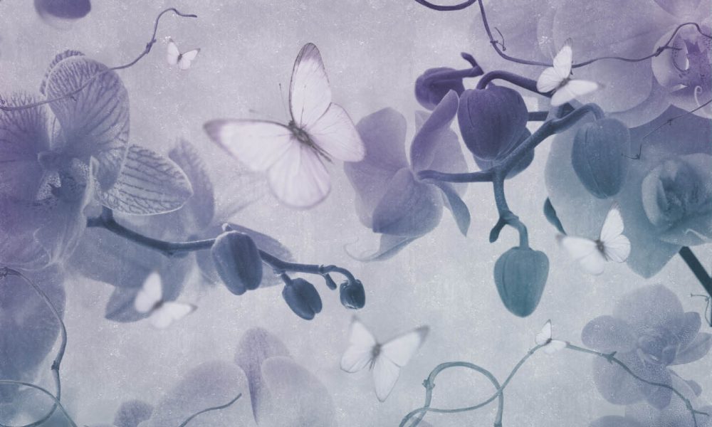 Orchidee Incantevoli contemporary wallpaper