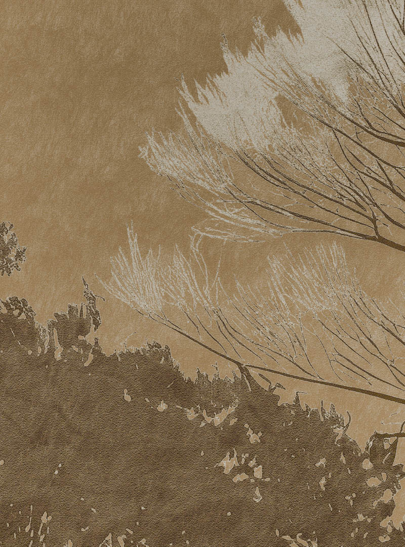 Shizuka na Mori – Texture Detail Toronto Wallpaper Close-up of Shizuka na Mori Toronto wallpaper showing fine tree-branch detailing and warm textured background.