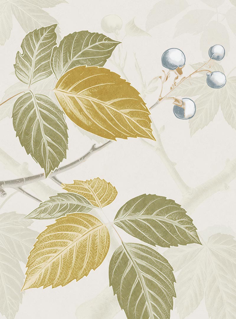 Skog II Botanical Wallpaper Detail - Toronto Close-up of Skog II botanical wallpaper with olive and ochre leaves, blue berries, and hand-drawn branches on a soft ivory background.